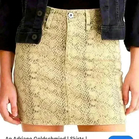 Adriano Goldschmied Vera Skirt - Picture 1 of 5